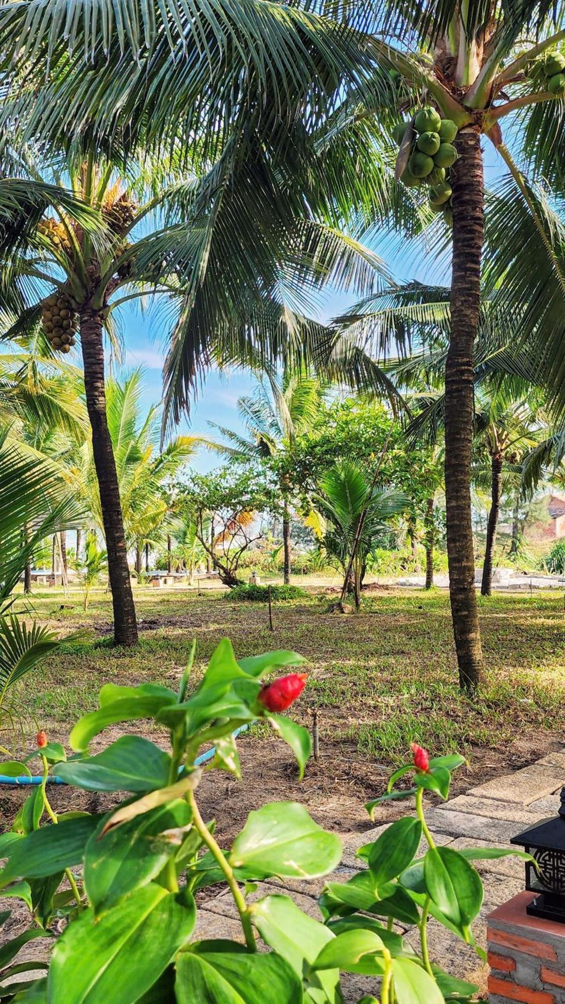 Zen Resort - Villa Beach- Garden Xom Tram Eksteriør bilde